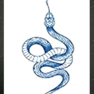 GLB-016 Semi Permanent Tattoo 2.75"x4.75"