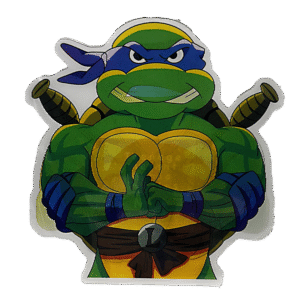 3D3DK061 Ninja Turtles Leonardo Sticker