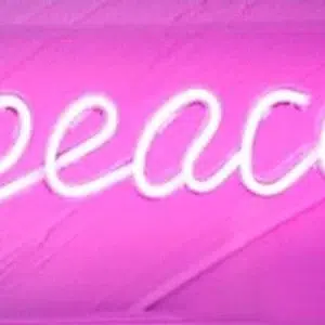 NLB-006 - Neon Light Box - Peace