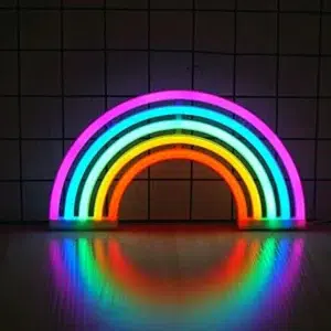 SNL-059 - Small Neon Hanging Light - Rainbow